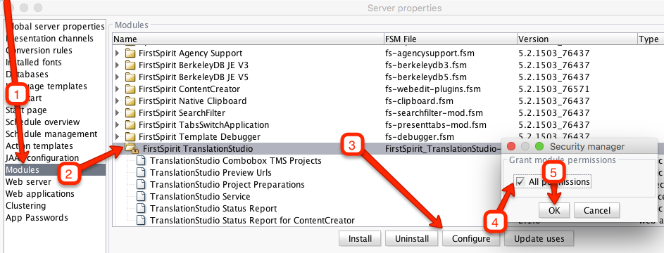 Granting module permissions